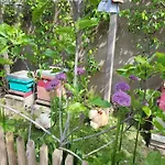 Appartement - Cosy Angers