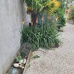 - Cosy דירה *