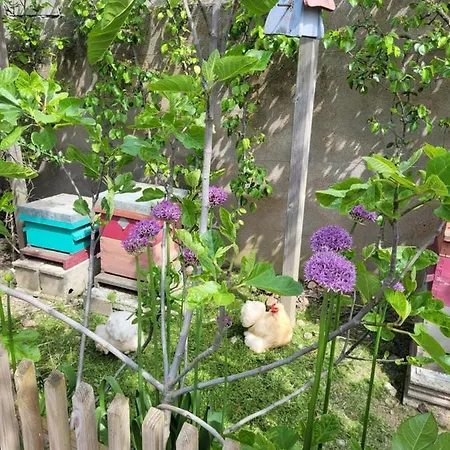 아파트 - Cosy 앙제