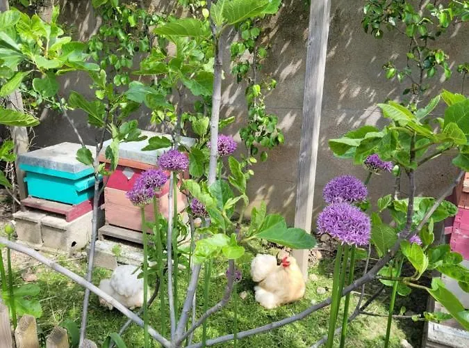 Appartamento - Cosy Angers