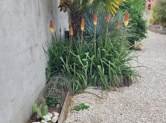 - Cosy Appartamento *